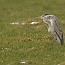 thumbs/IMG_4022.jpg